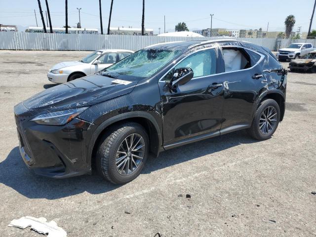 2024 Lexus Nx 250 Base