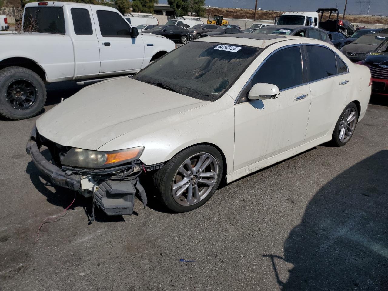 2006 Acura Tsx VIN: JH4CL96996C036550 Lot: 64190754