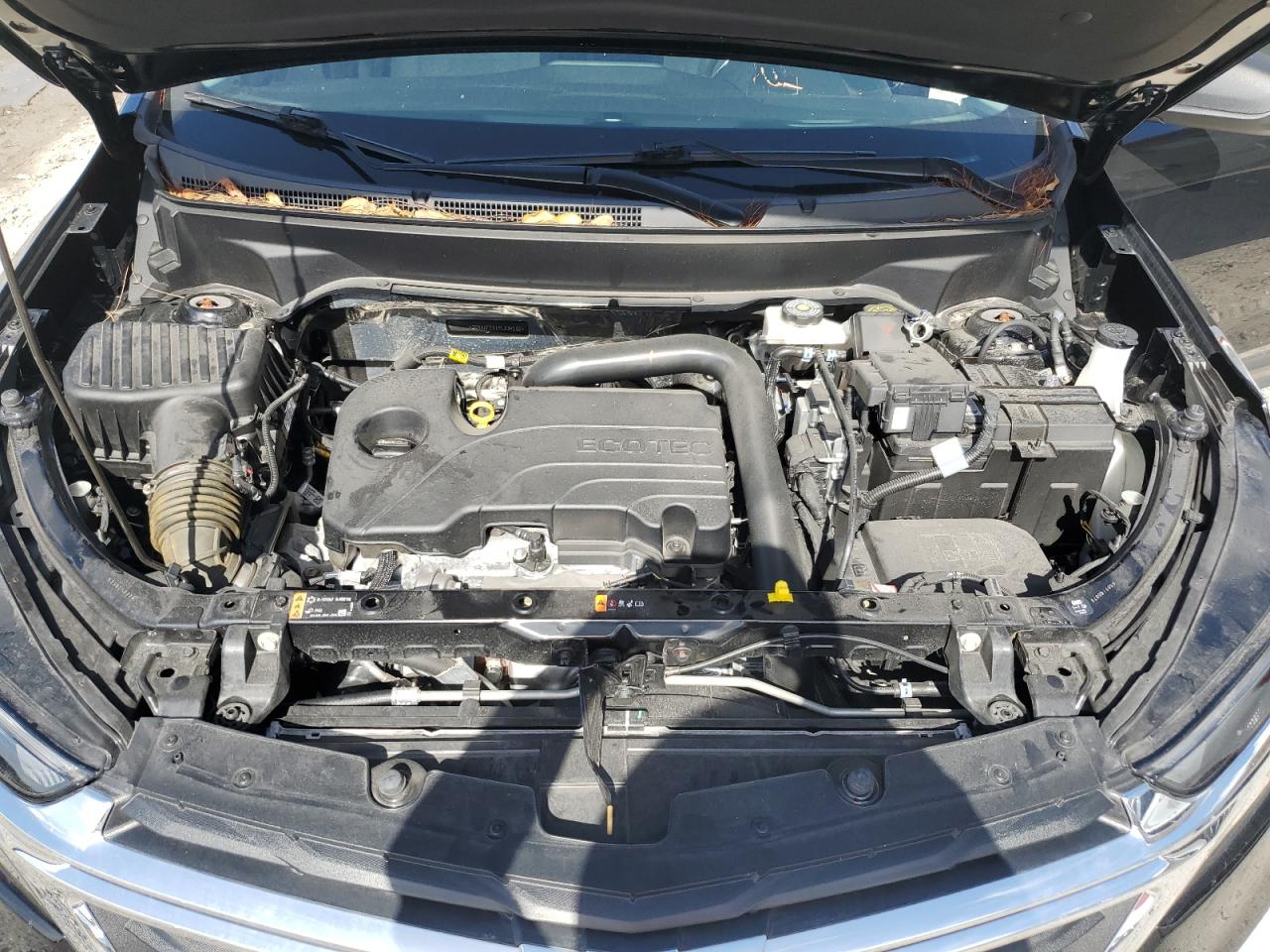 3GNAXFEG1PL234502 2023 Chevrolet Equinox Ls