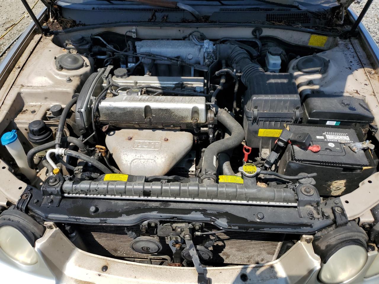 KNAGD126745338088 2004 Kia Optima Lx