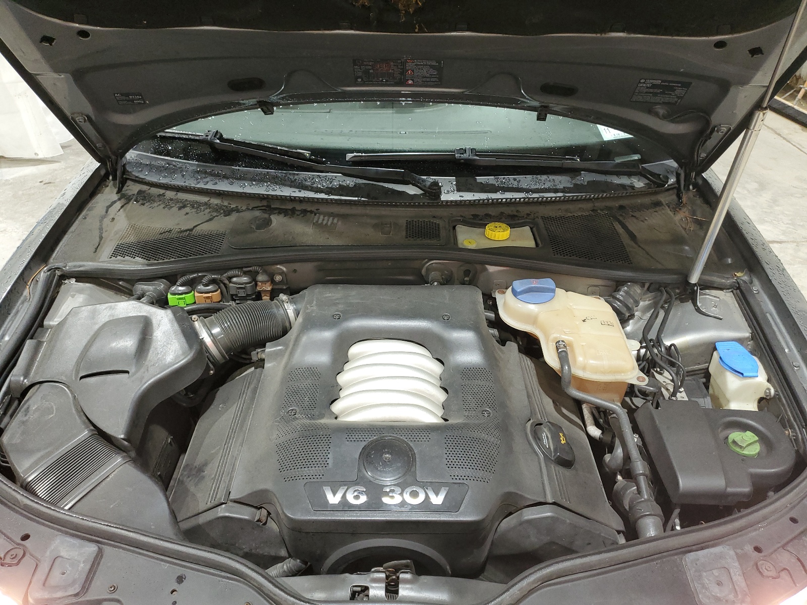 WVWRH63B84P099342 2004 Volkswagen Passat Glx