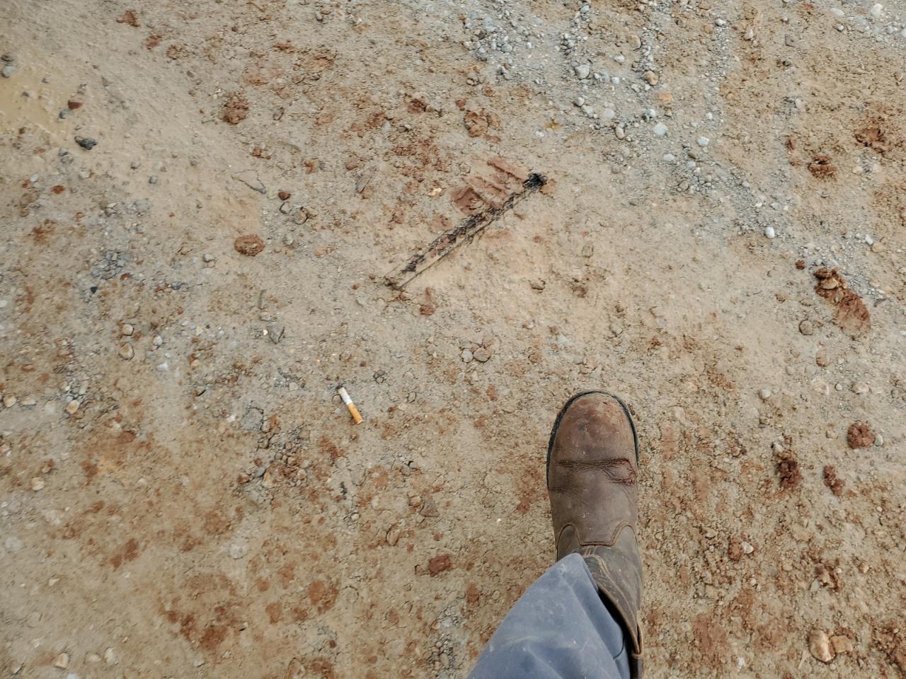 2011 Ford F350 Super Duty VIN: 1FT8W3DT1BEB02579 Lot: 64042884