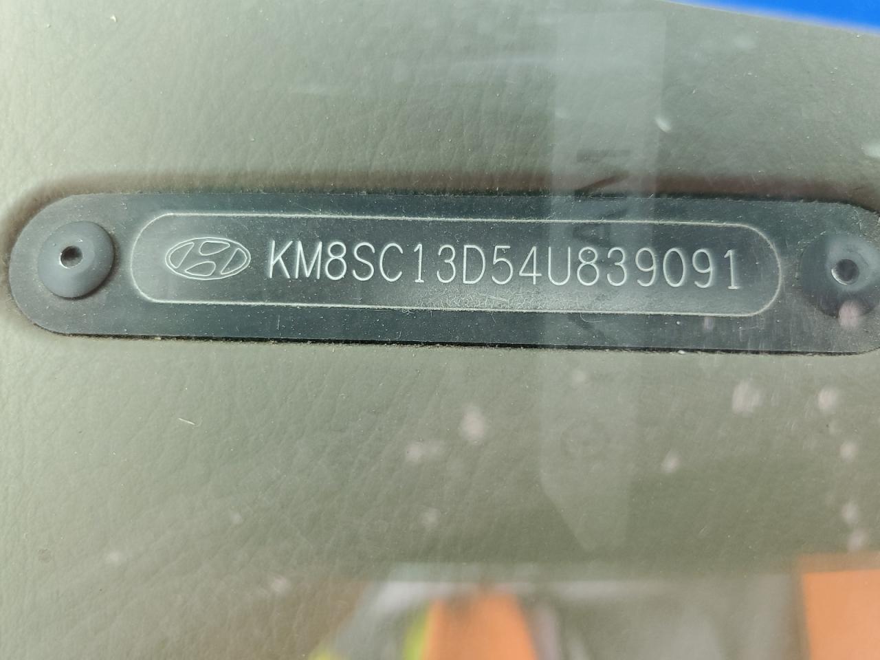 2004 Hyundai Santa Fe Gls VIN: KM8SC13D54U839091 Lot: 62536304