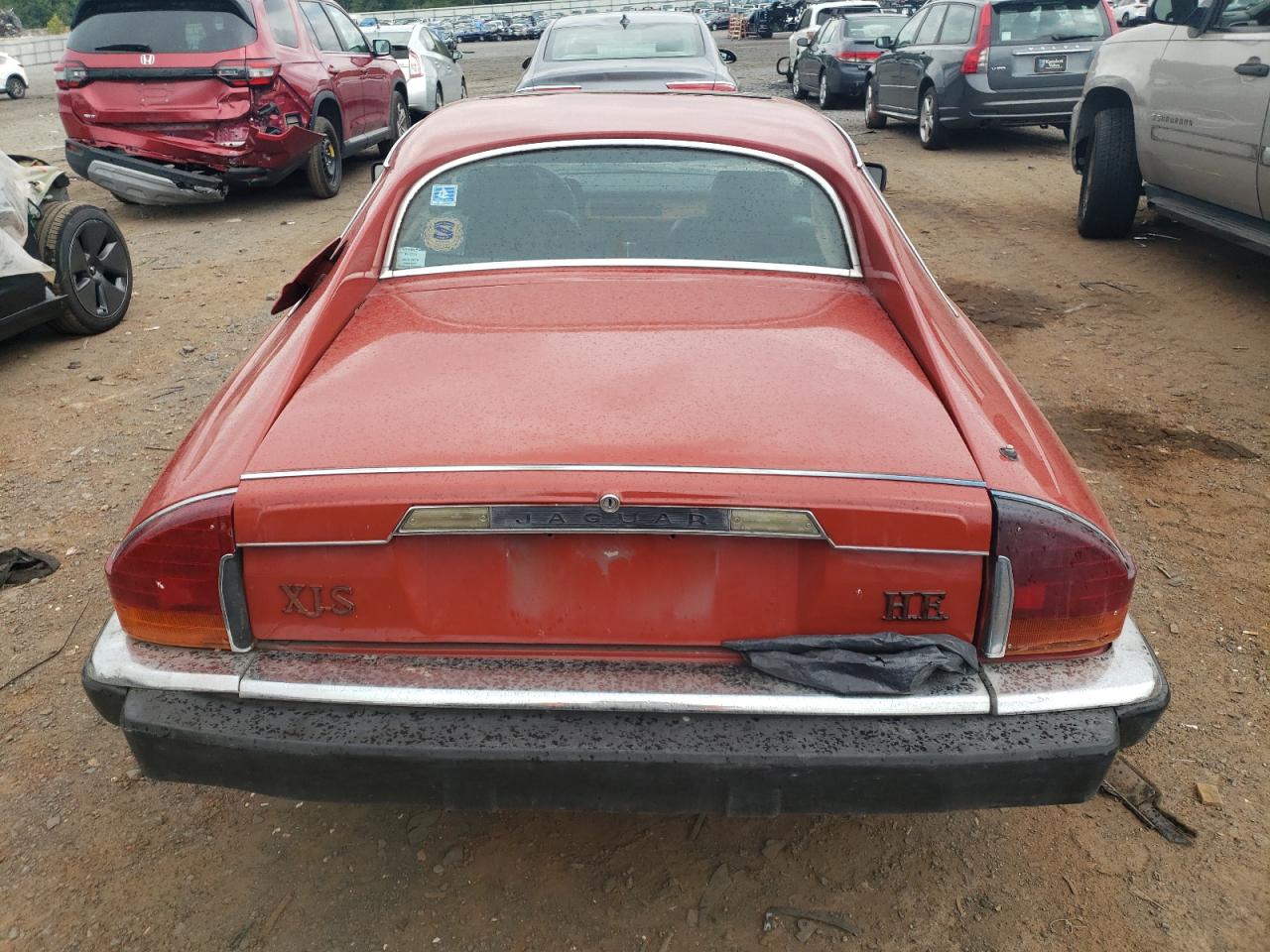 1985 Jaguar Xjs VIN: SAJNV5842FC123545 Lot: 62013814