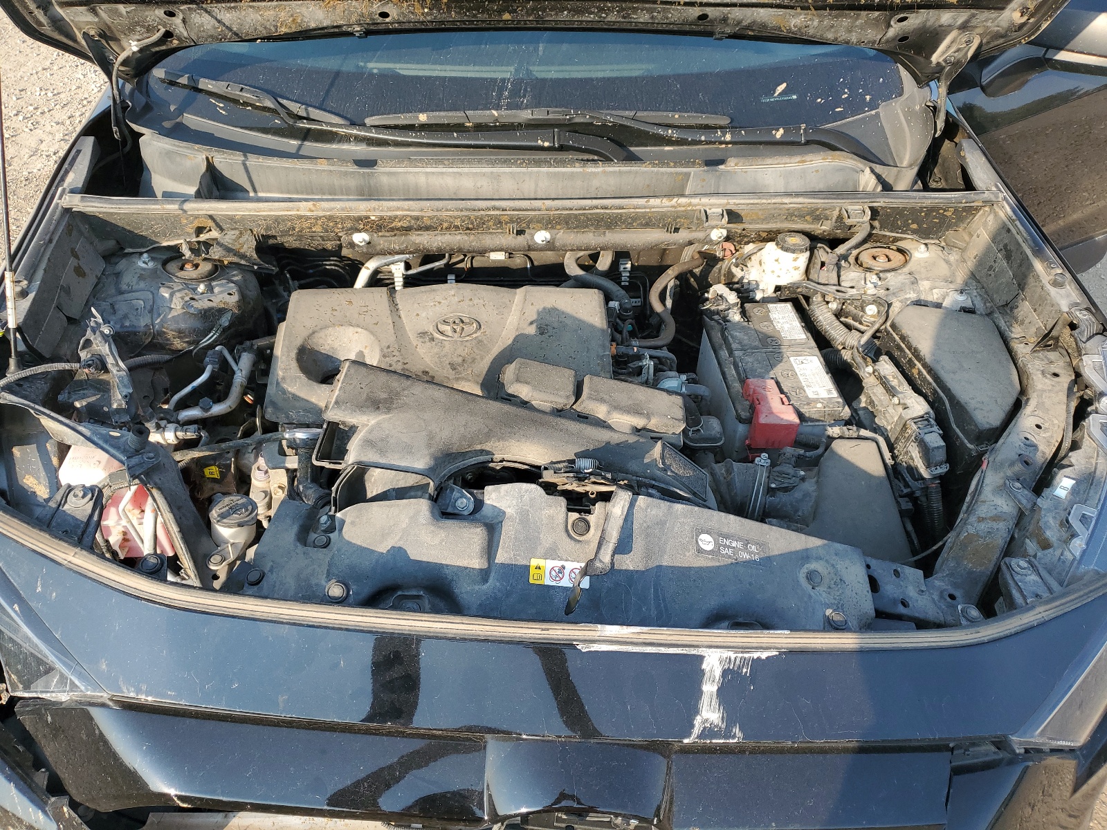 2T3F1RFV7LC126663 2020 Toyota Rav4 Le