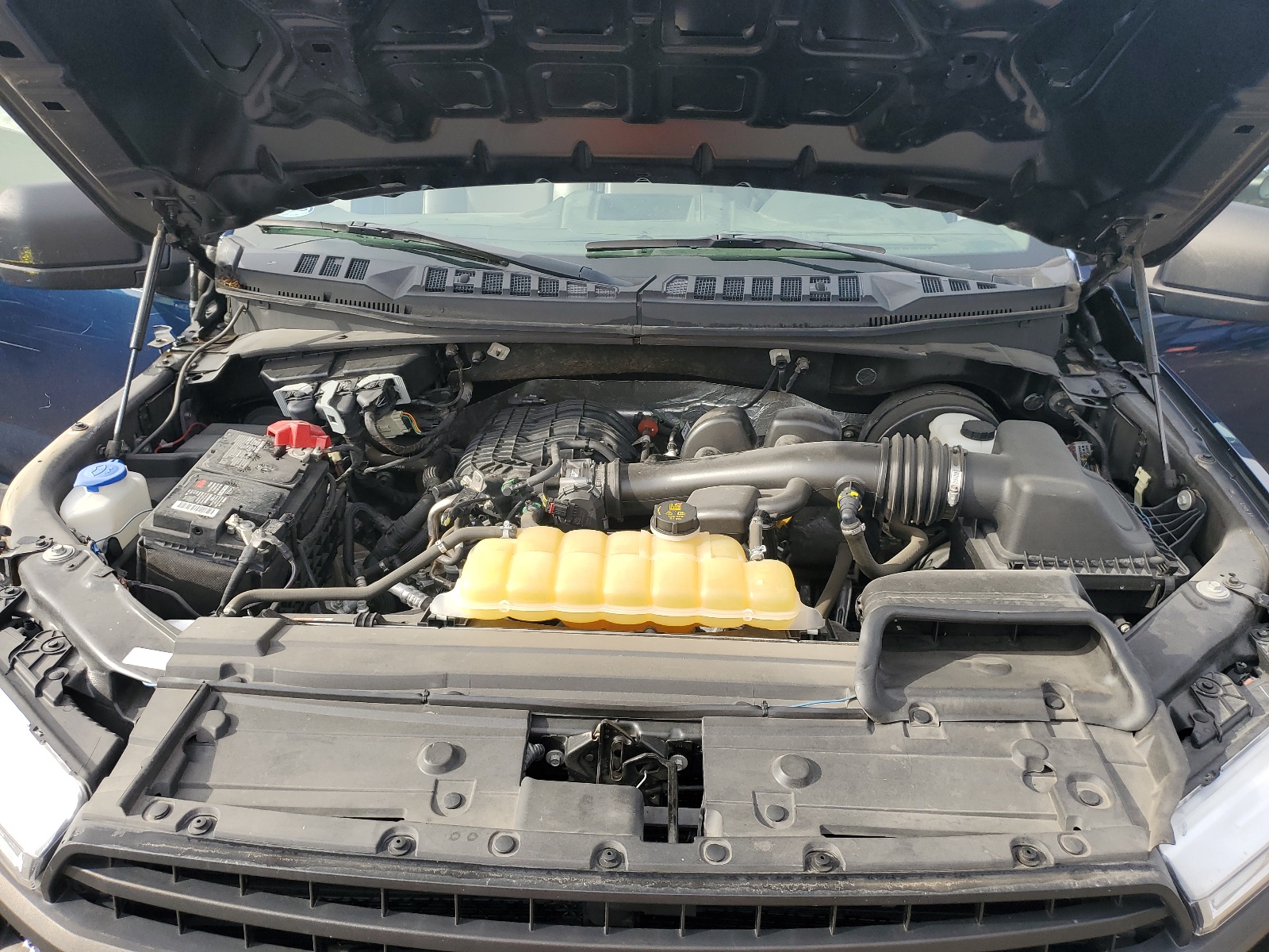 1FTMF1CBXKKE17006 2019 Ford F150