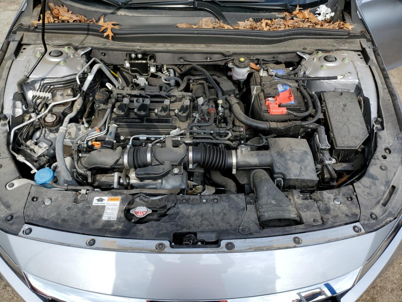 2021 Honda Accord Lx VIN: 1HGCV1F19MA051955 Lot: 63288564