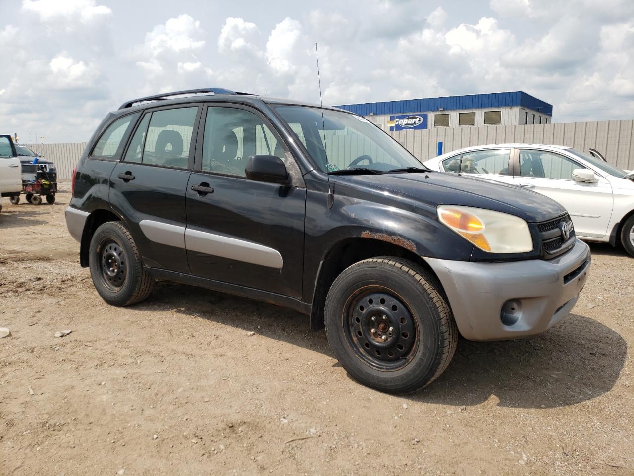 2004 Toyota Rav4 VIN: JTEHD20V640014971 Lot: 64191704