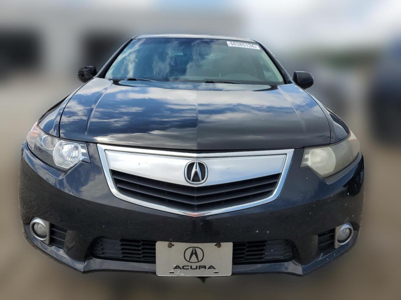 2011 Acura Tsx VIN: JH4CU2F64BC000351 Lot: 60385134