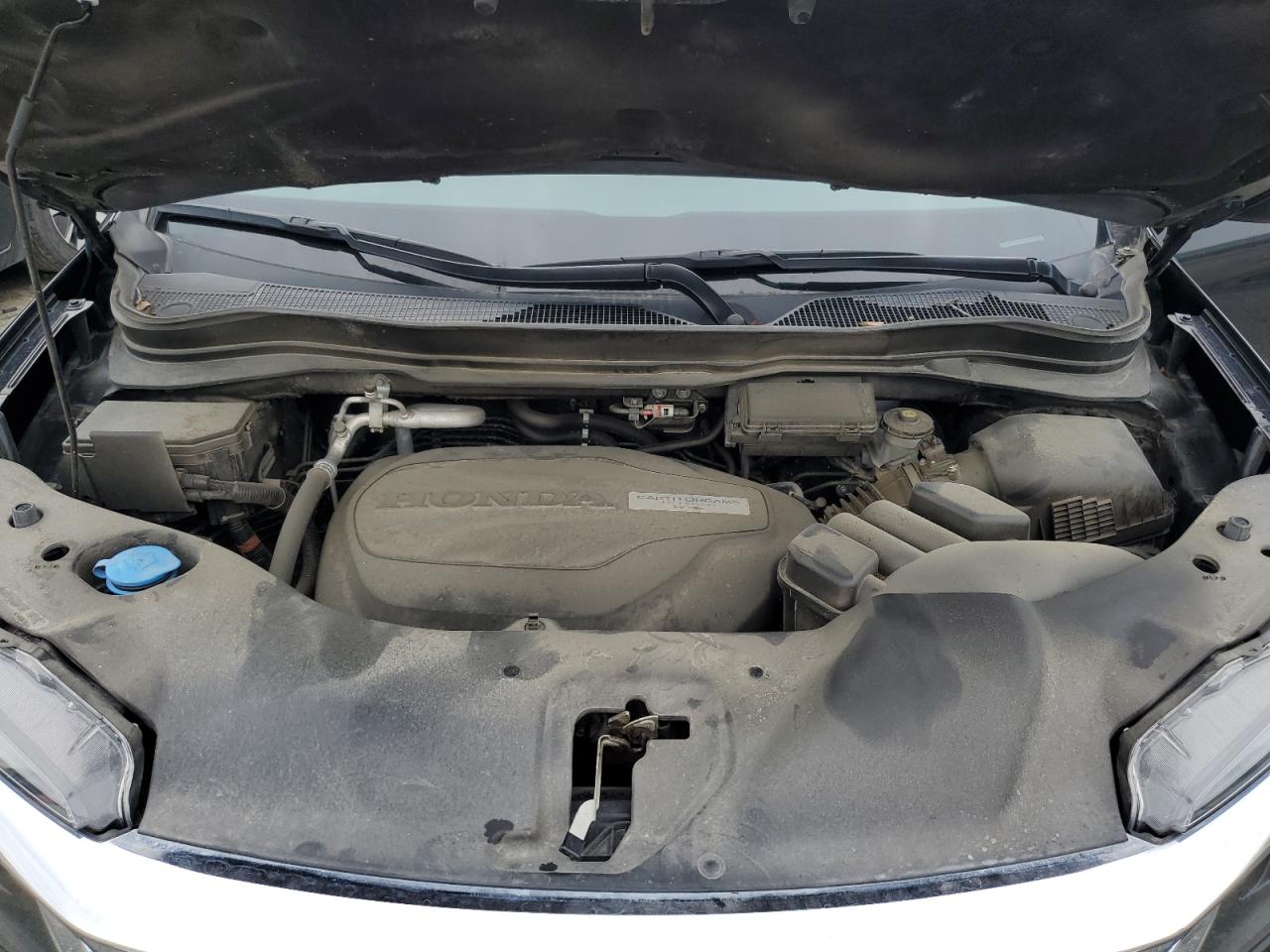 2019 Honda Pilot Exl VIN: 5FNYF5H59KB031525 Lot: 64988264