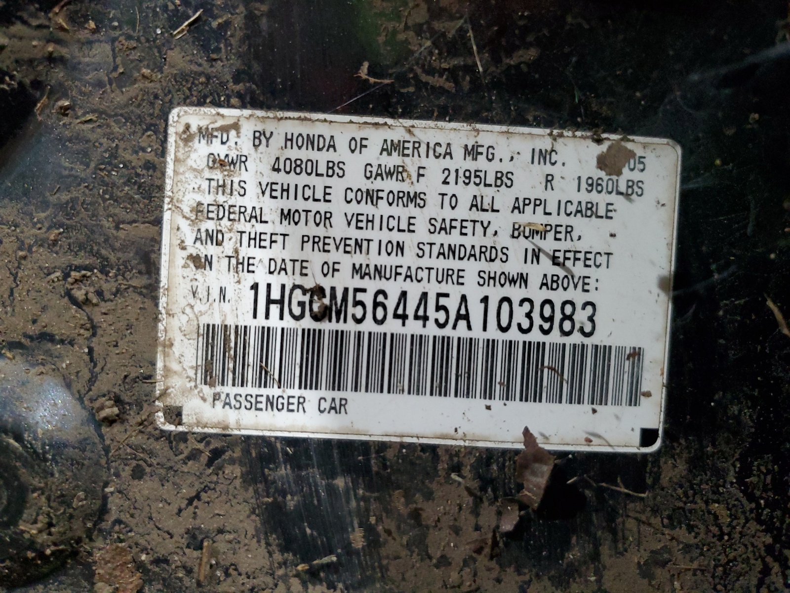 1HGCM56445A103983 2005 Honda Accord Lx