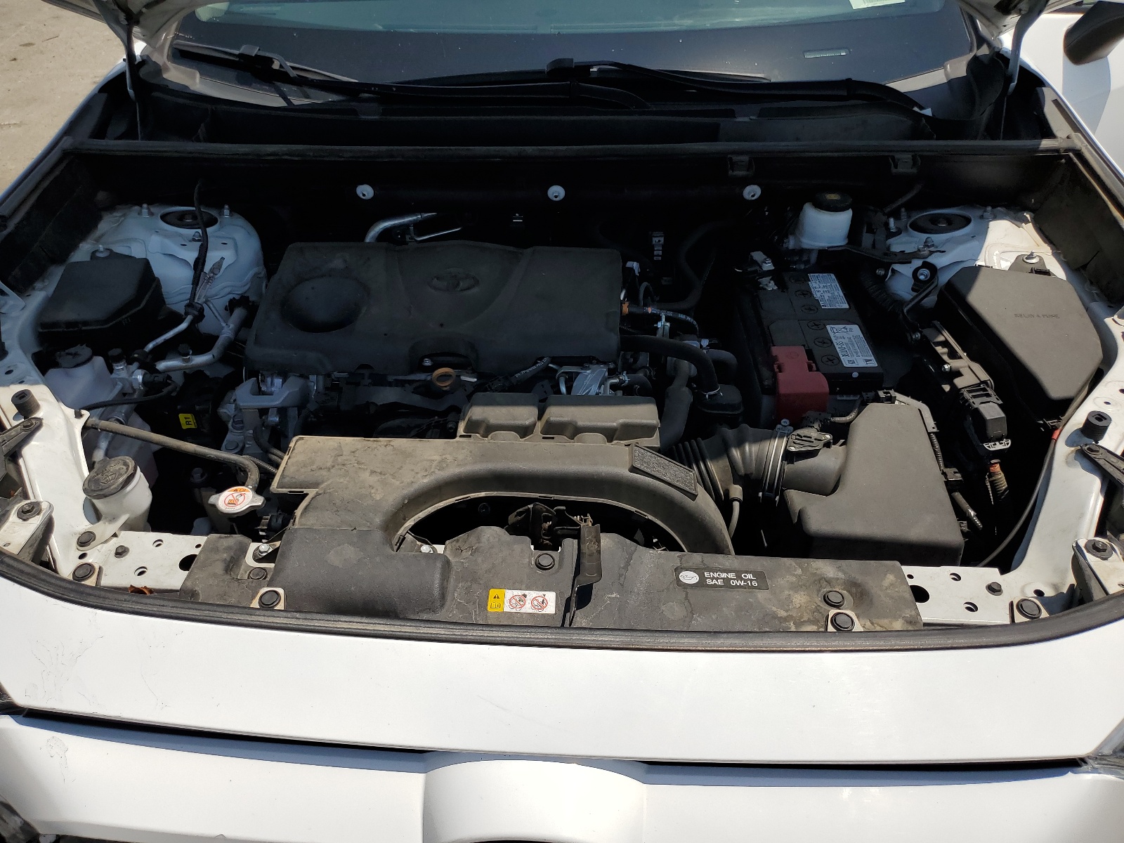 2T3C1RFV0LW066100 2020 Toyota Rav4 Xle Premium