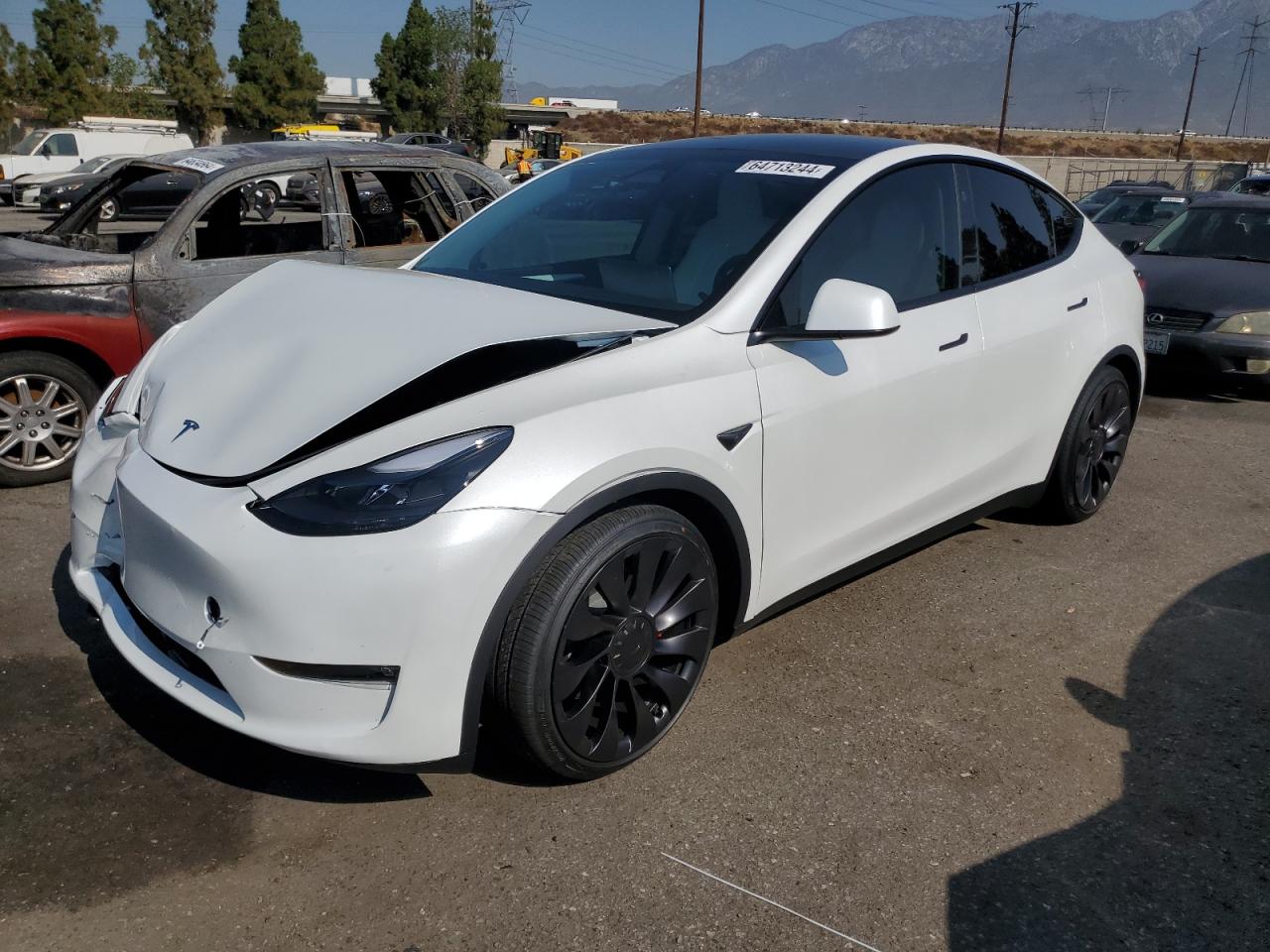 2024 Tesla Model Y VIN: 7SAYGDEF2RF117616 Lot: 64713244