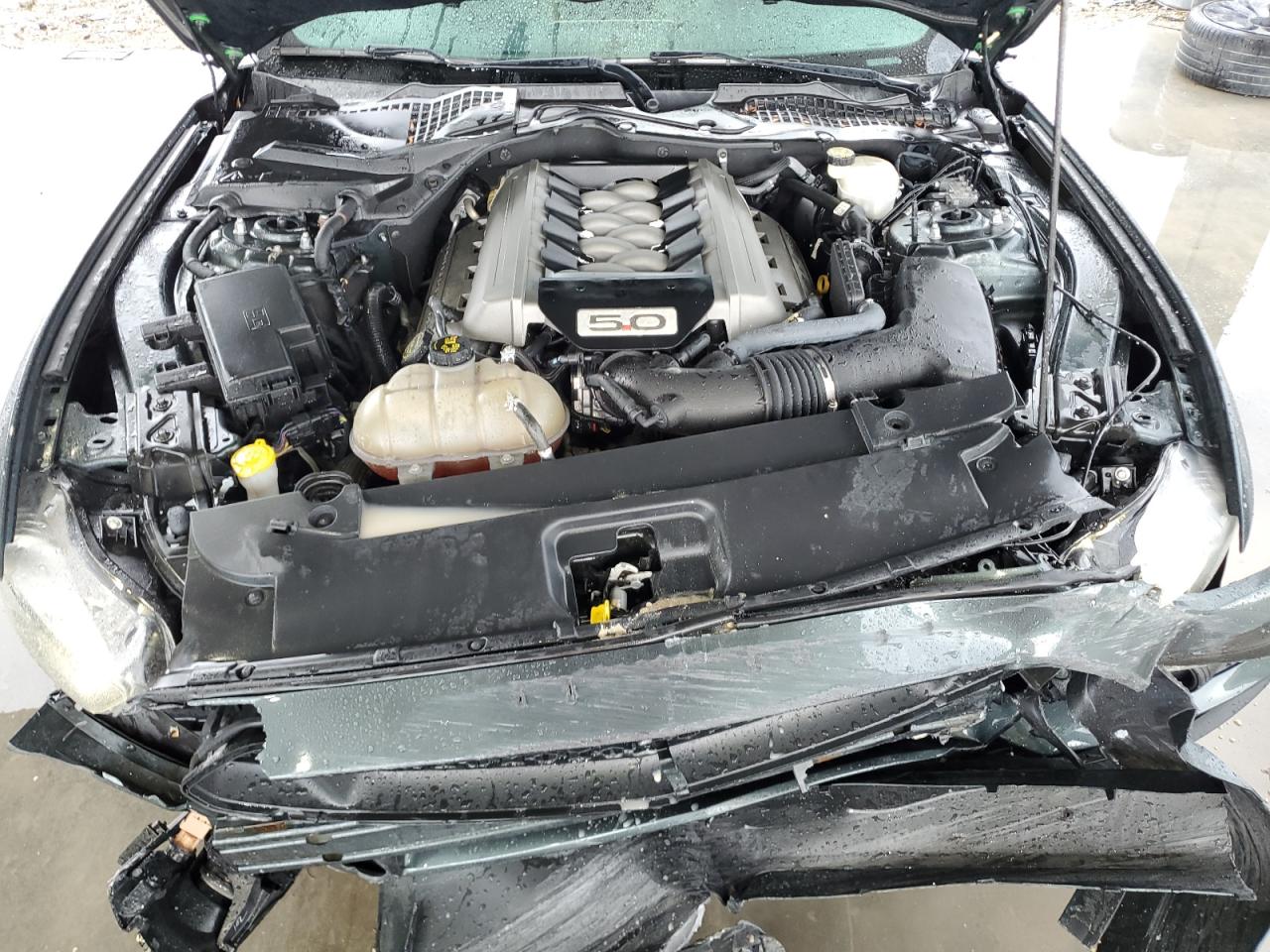 2016 Ford Mustang Gt VIN: 1FA6P8CF9G5228800 Lot: 65888844