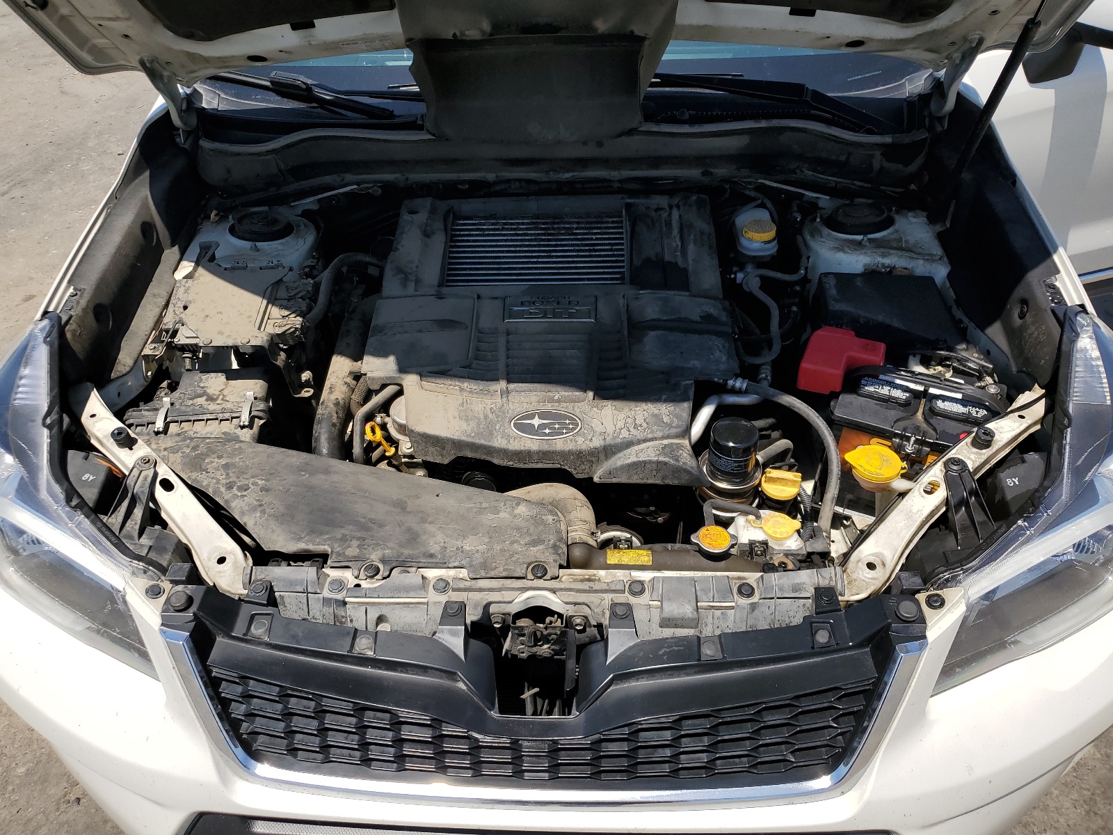 JF2SJGUC8FH829719 2015 Subaru Forester 2.0Xt Touring