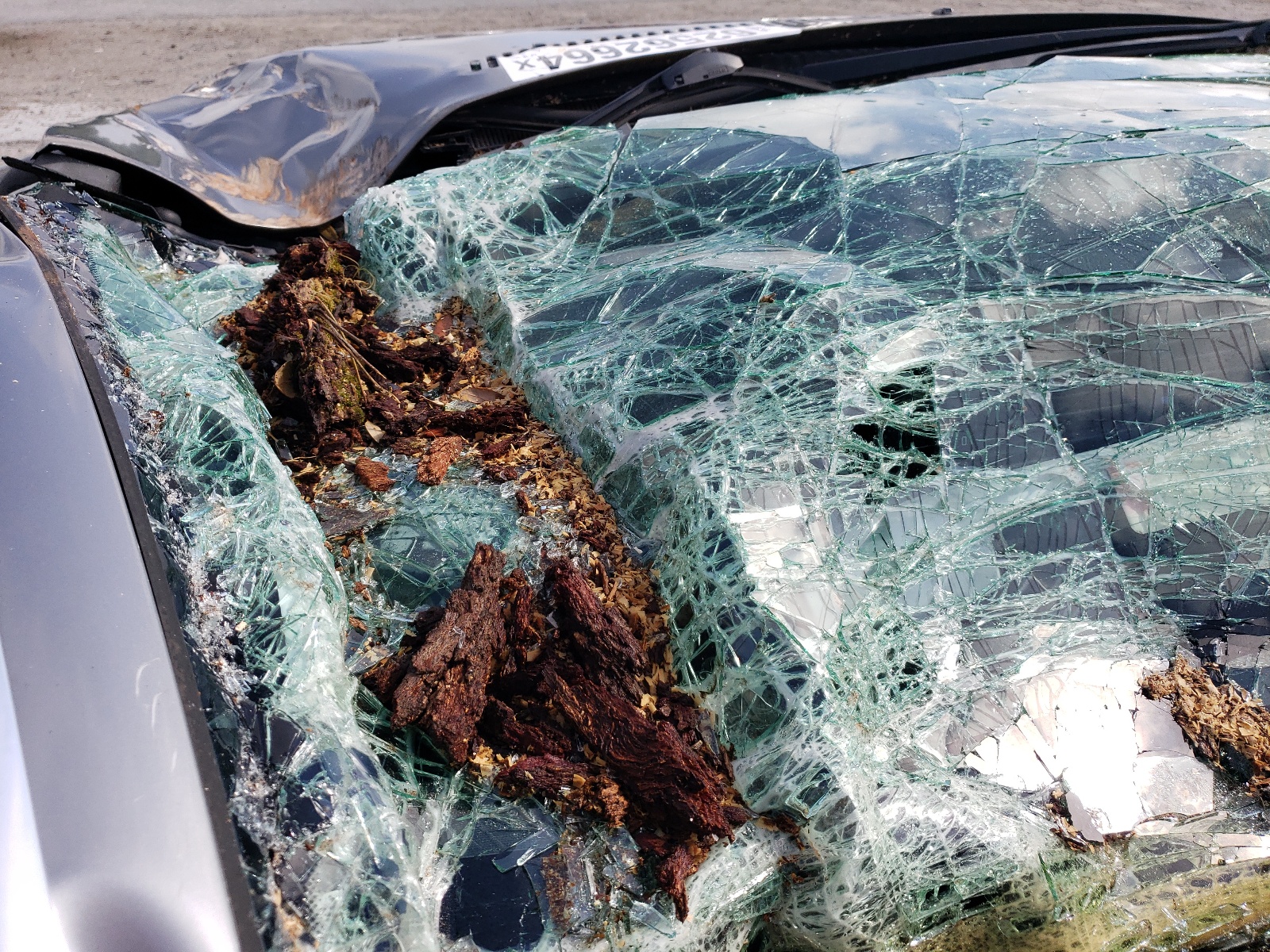 WBABD33474PL02893 2004 BMW 325 Ci