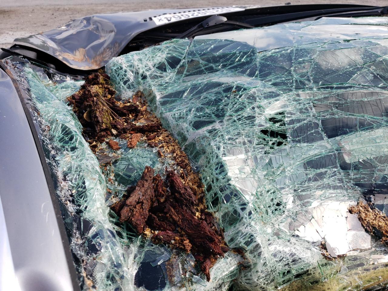 2004 BMW 325 Ci VIN: WBABD33474PL02893 Lot: 62562664