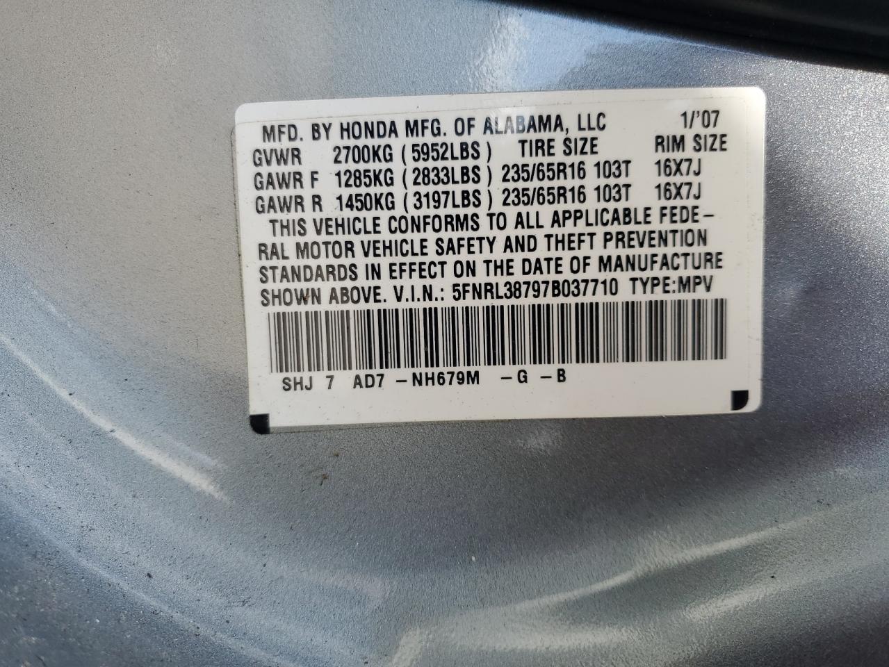 2007 Honda Odyssey Exl VIN: 5FNRL38797B037710 Lot: 61505254