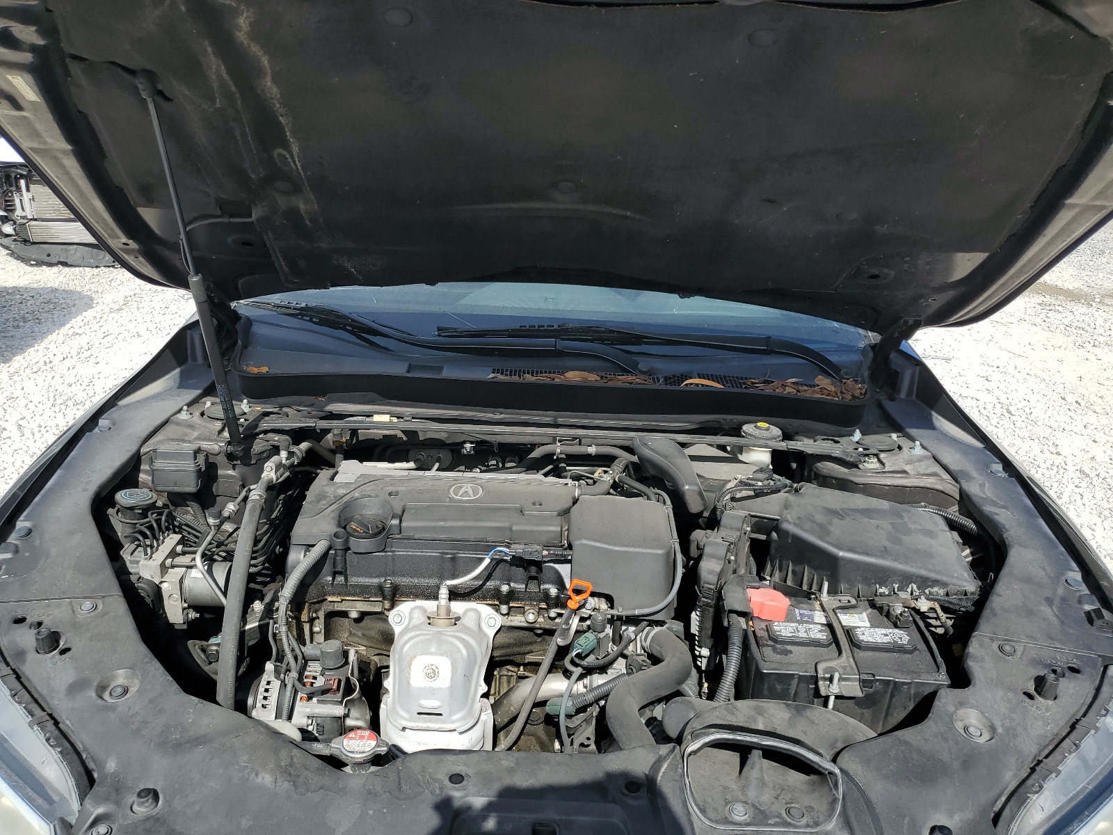 19UUB1F32FA026333 2015 Acura Tlx