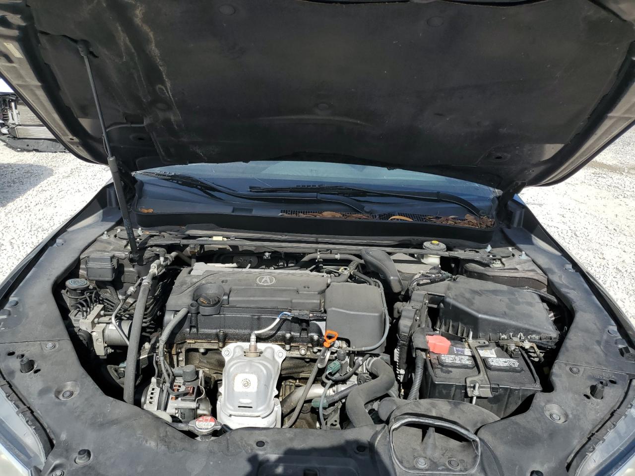 2015 Acura Tlx VIN: 19UUB1F32FA026333 Lot: 65207674