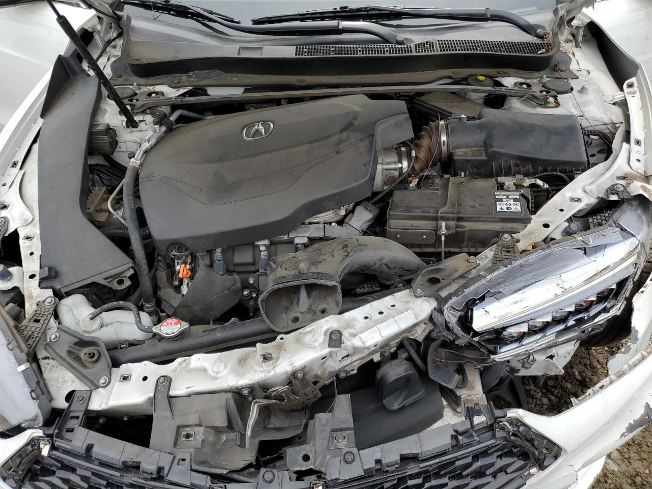 2019 Acura Tlx VIN: 19UUB2F39KA000697 Lot: 64476974