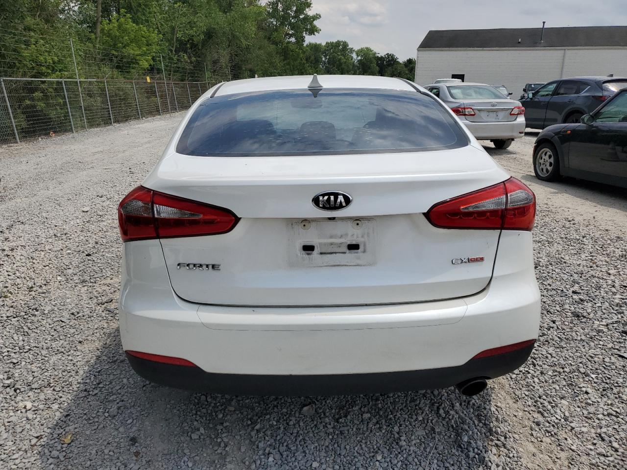 2014 Kia Forte Ex VIN: KNAFZ4A87E5064507 Lot: 61259194