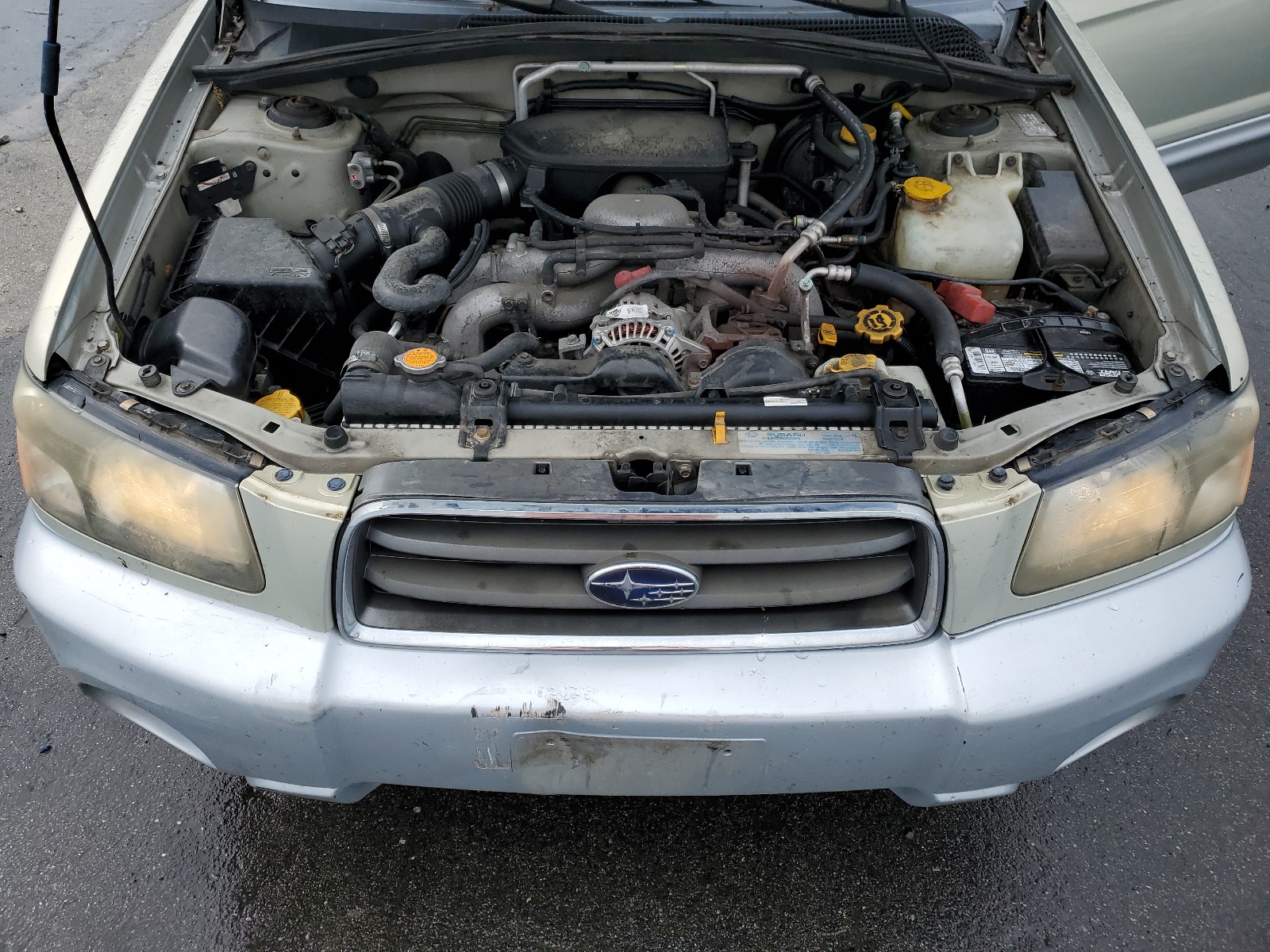 JF1SG67635H747592 2005 Subaru Forester 2.5Xs Ll Bean