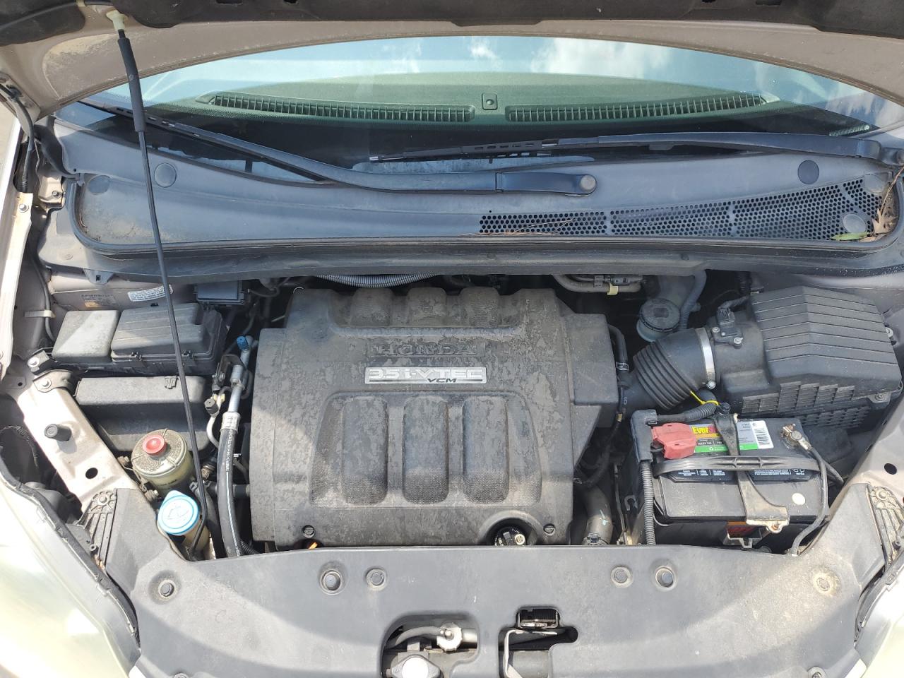 2007 Honda Odyssey Exl VIN: 5FNRL38657B438100 Lot: 65419954