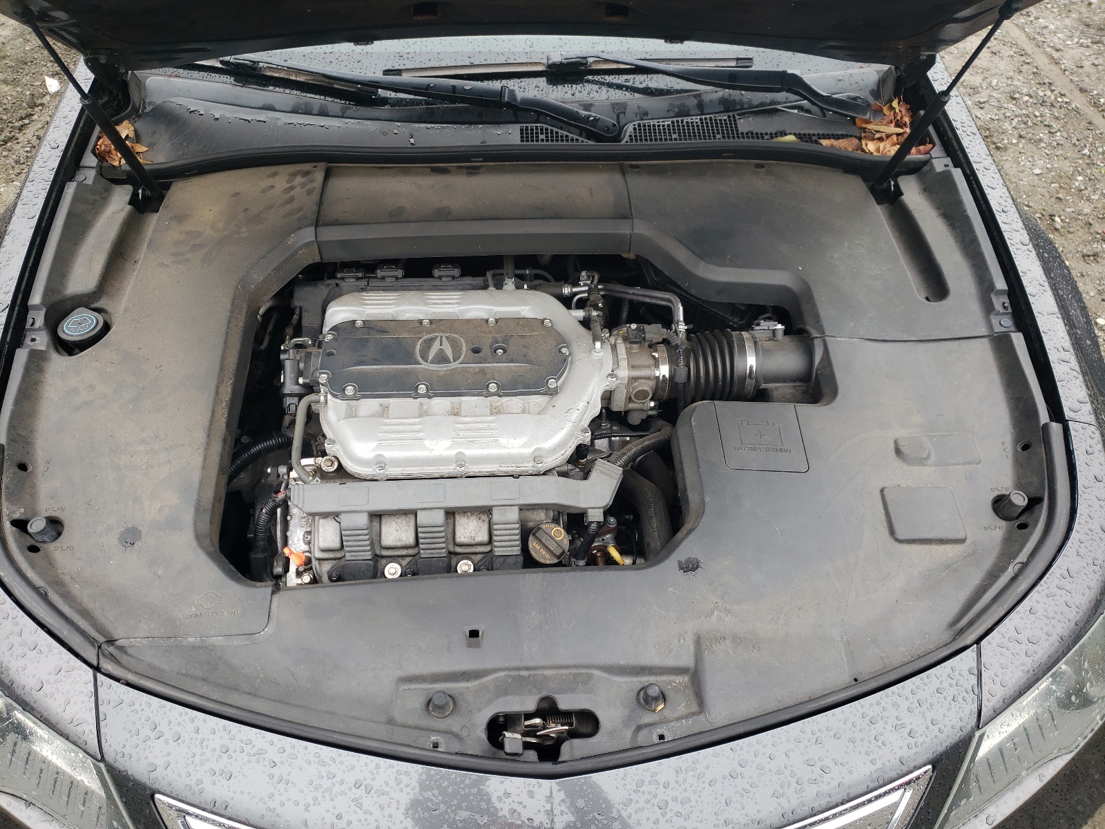 19UUA8F52DA001636 2013 Acura Tl Tech