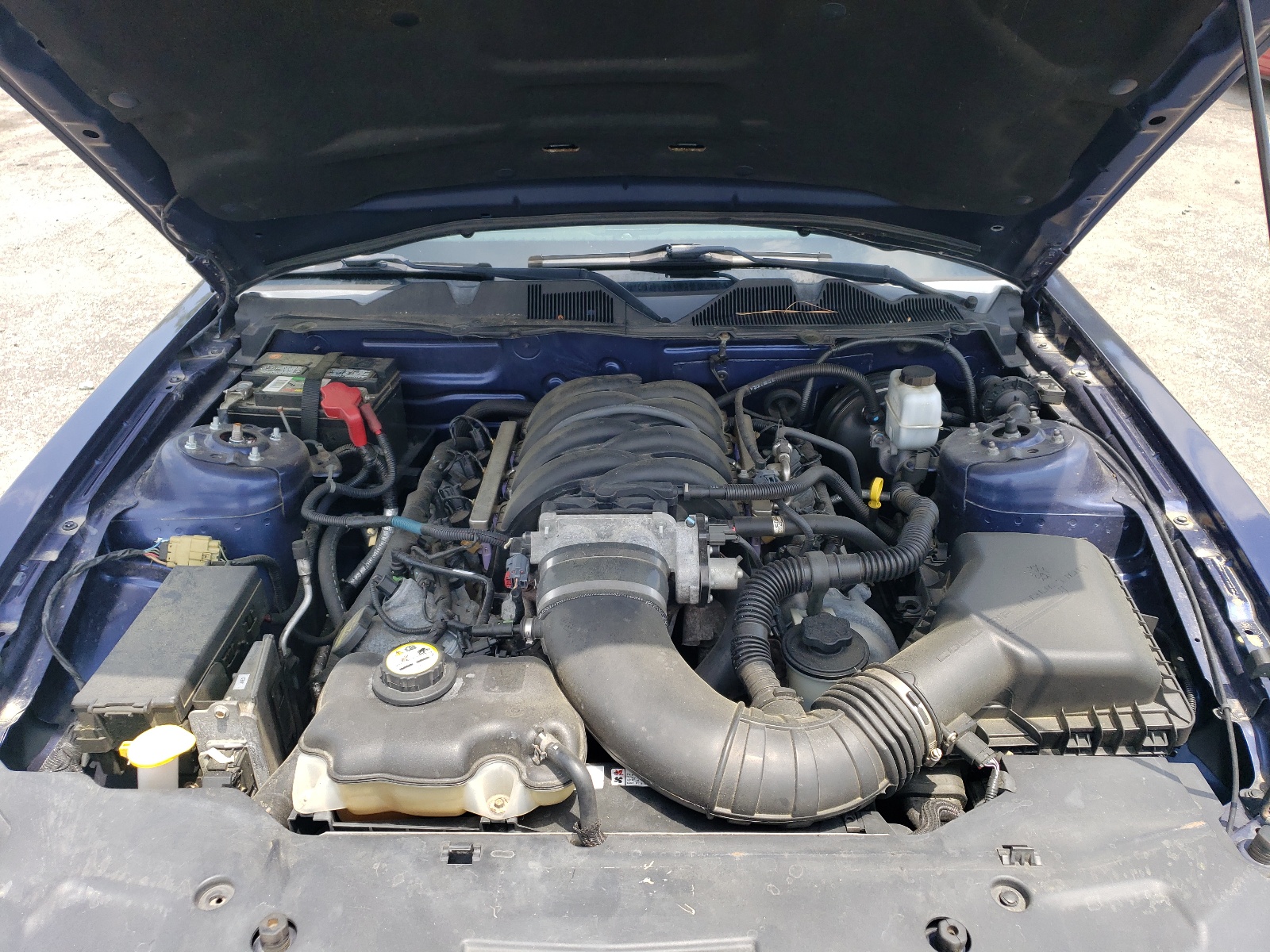 1ZVBP8CH4A5126237 2010 Ford Mustang Gt