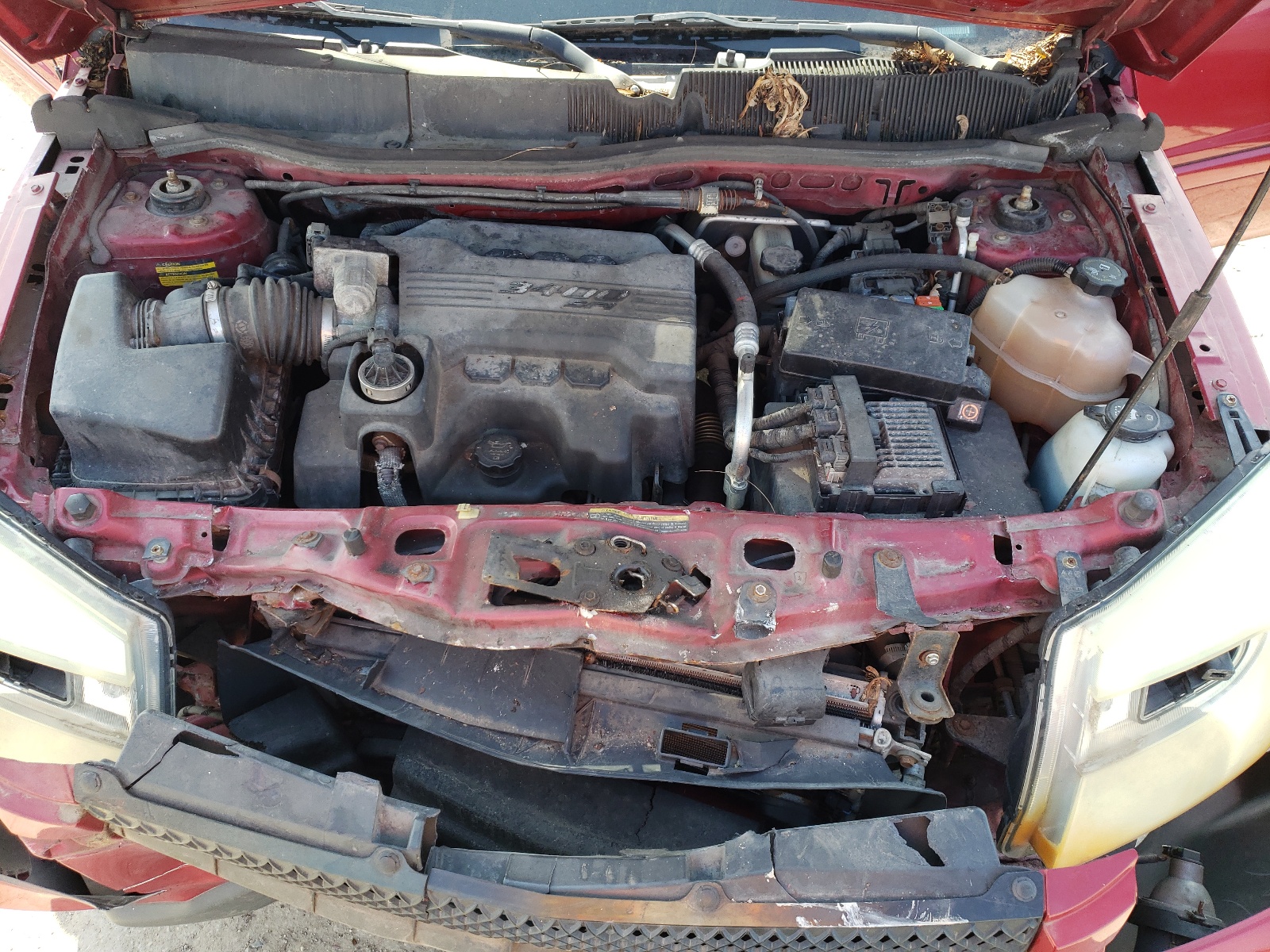 2CNDL73F966153540 2006 Chevrolet Equinox Lt
