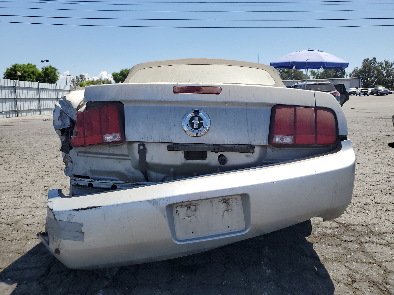 1ZVHT84N155249073 2005 Ford Mustang