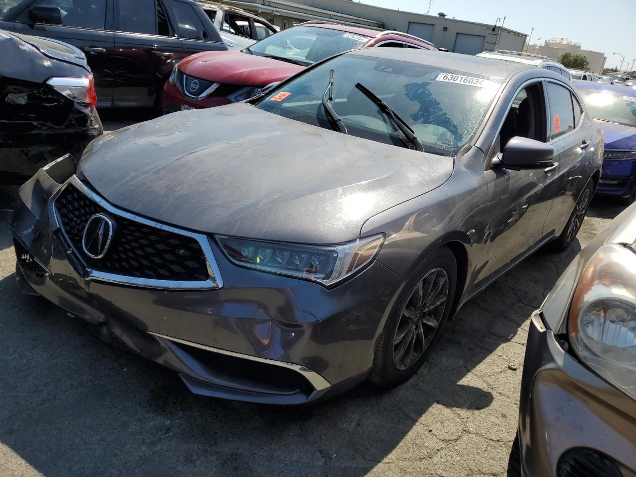 2020 Acura Tlx Technology VIN: 19UUB1F57LA013493 Lot: 63016034