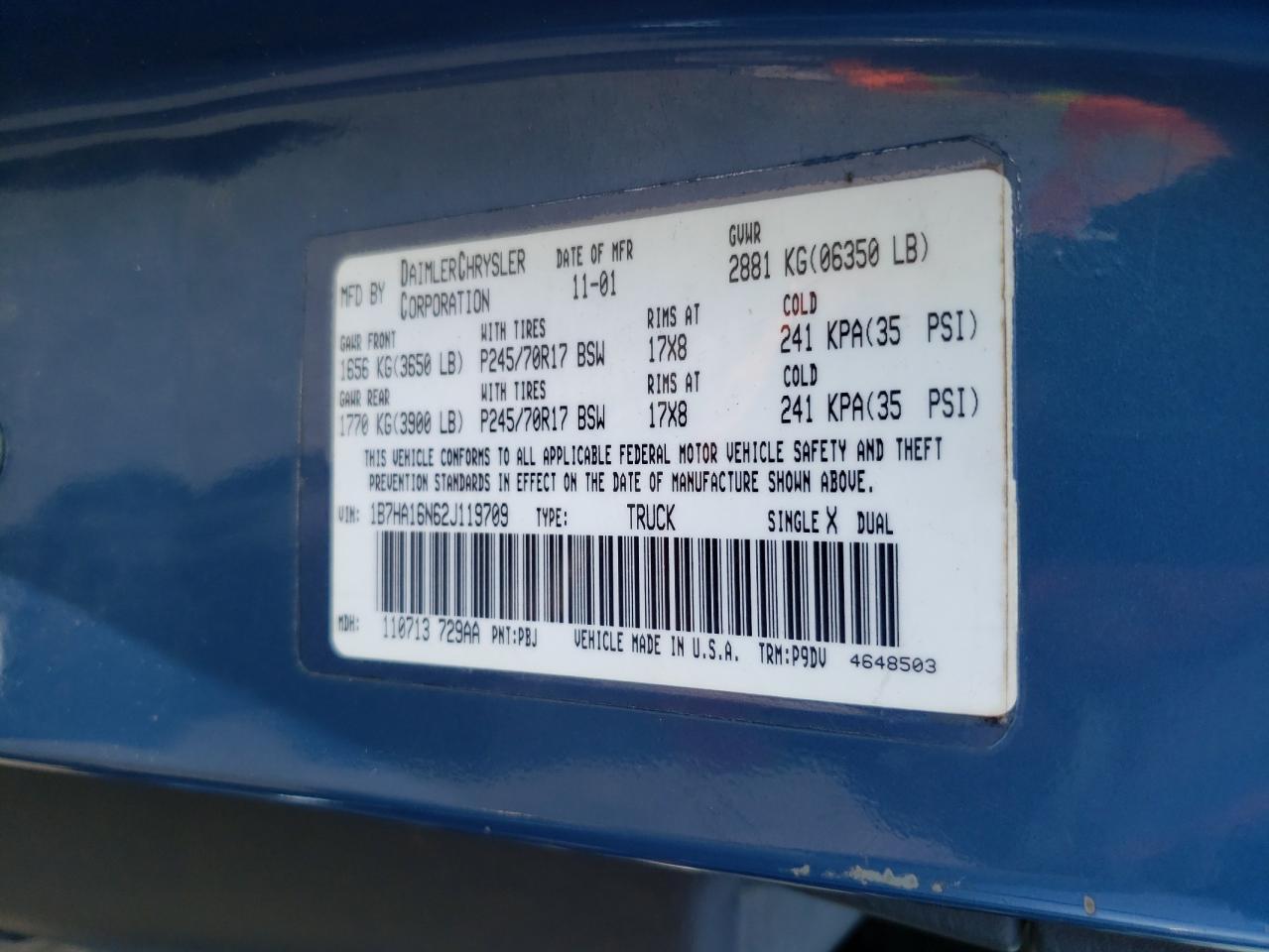 2002 Dodge Ram 1500 VIN: 1B7HA16N62J119709 Lot: 63151054