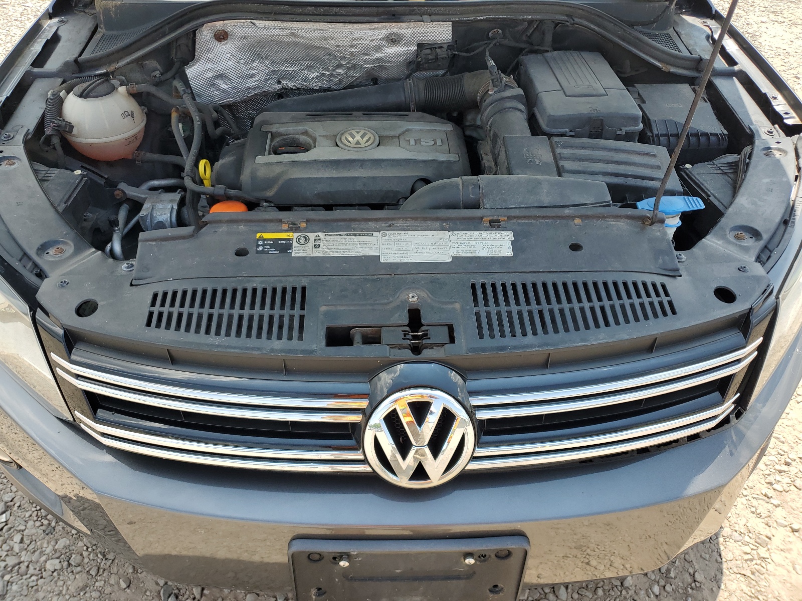 WVGBV3AX3DW618936 2013 Volkswagen Tiguan S