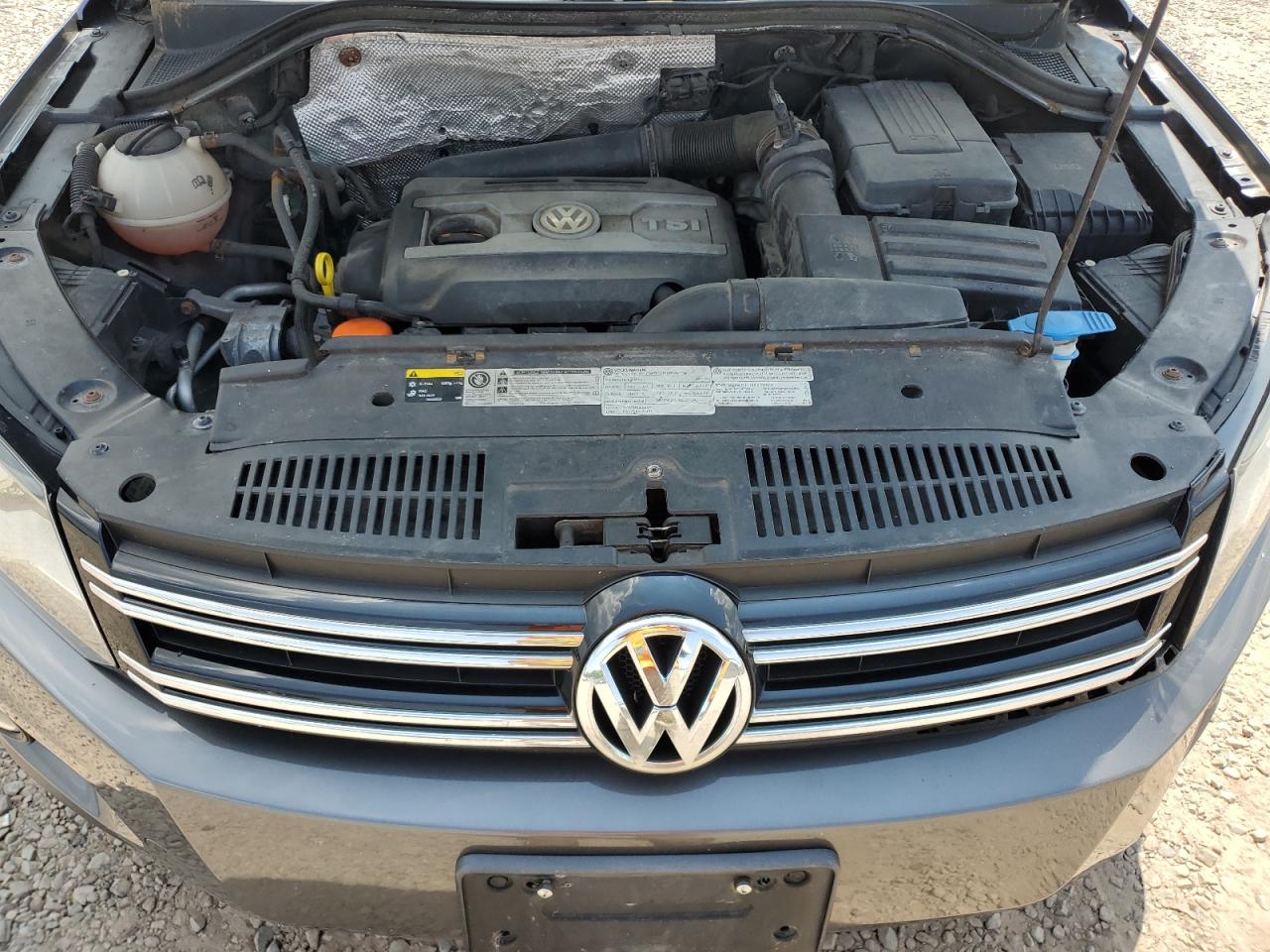 2013 Volkswagen Tiguan S VIN: WVGBV3AX3DW618936 Lot: 65150764