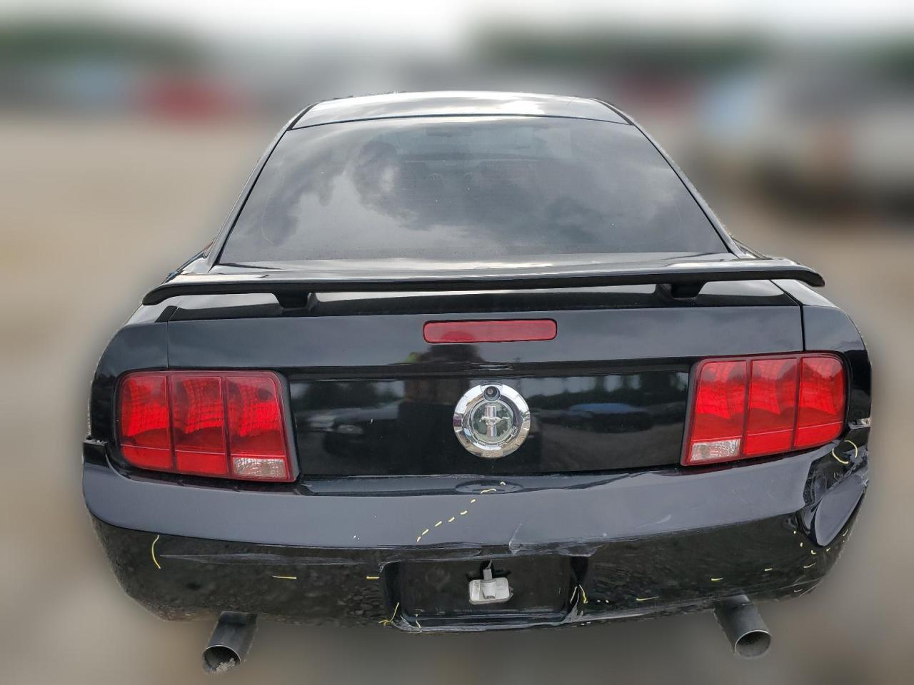 2009 Ford Mustang VIN: 1ZVHT80N095131253 Lot: 63529044