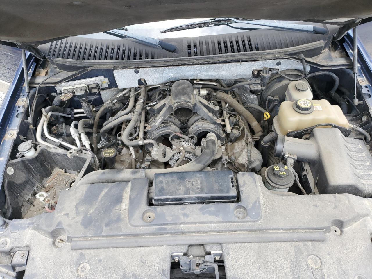 2007 Ford Expedition Eddie Bauer VIN: 1FMFU185X7LA53426 Lot: 63657024