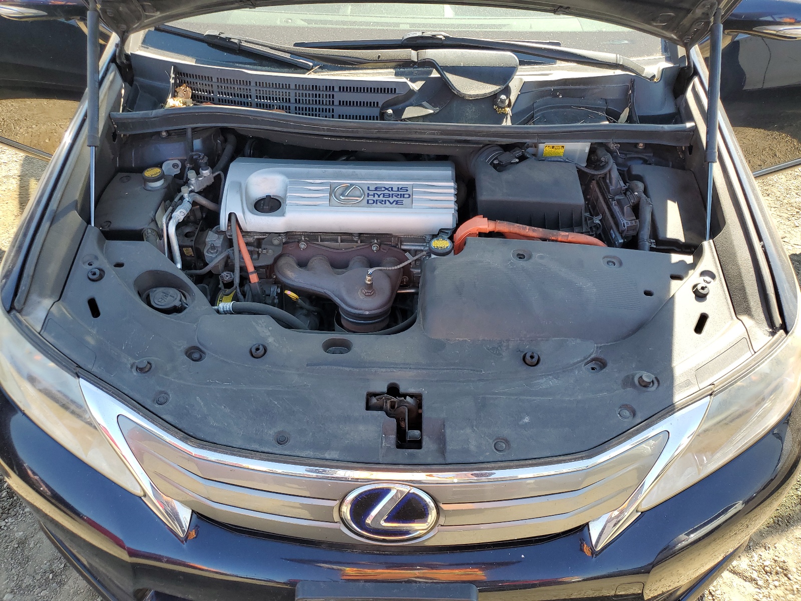 JTHBB1BA2A2012976 2010 Lexus Hs 250H