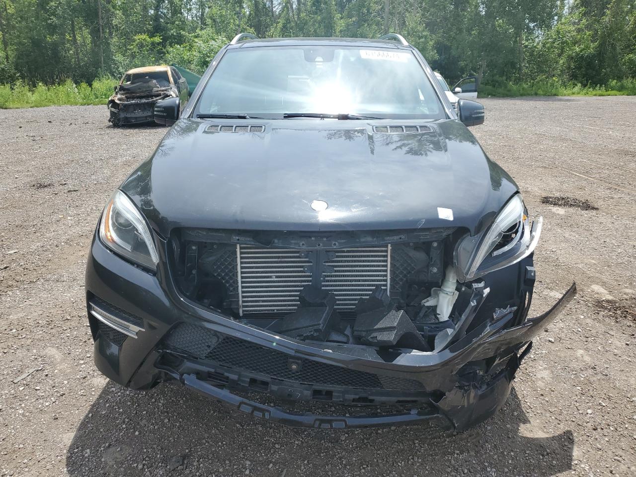 2014 Mercedes-Benz Ml 350 Bluetec VIN: 4JGDA2EBXEA439658 Lot: 61566674