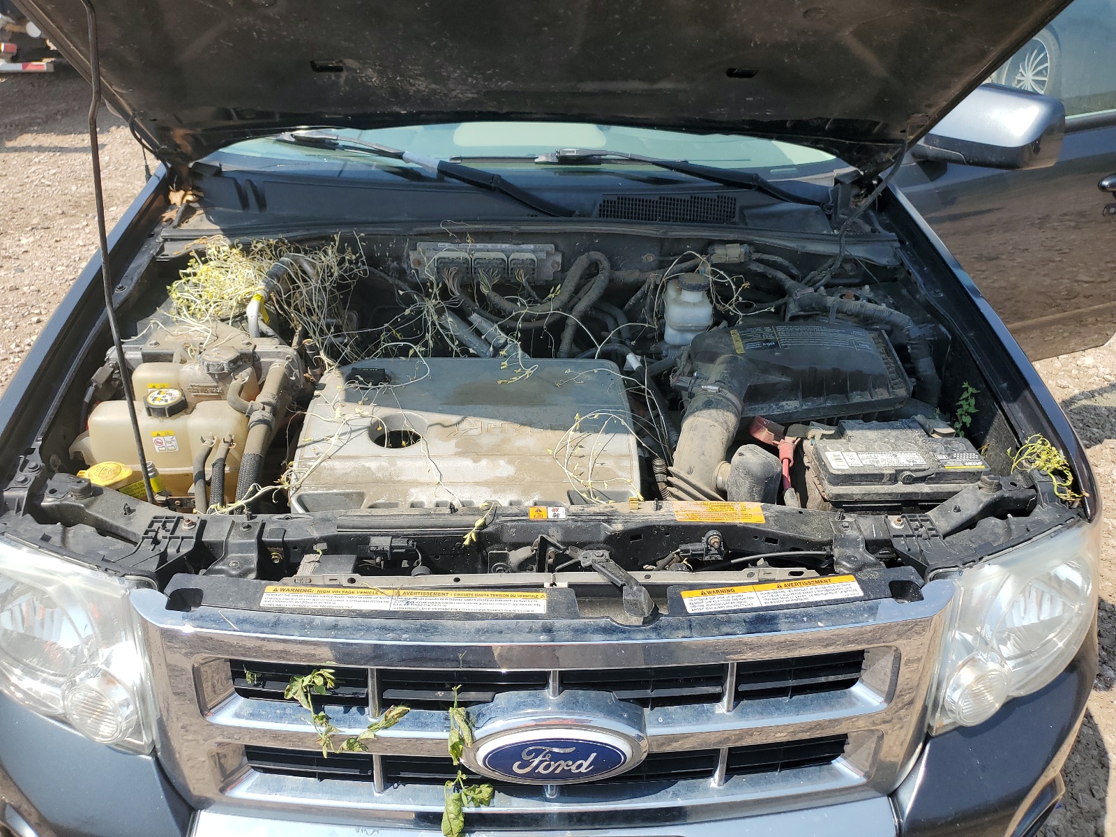 1FMCU5K3XAKB52603 2010 Ford Escape Hybrid