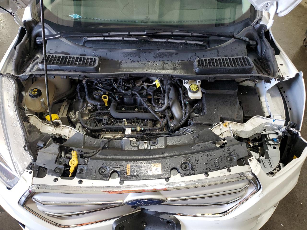2019 Ford Escape Sel VIN: 1FMCU9HD9KUA42963 Lot: 63292034