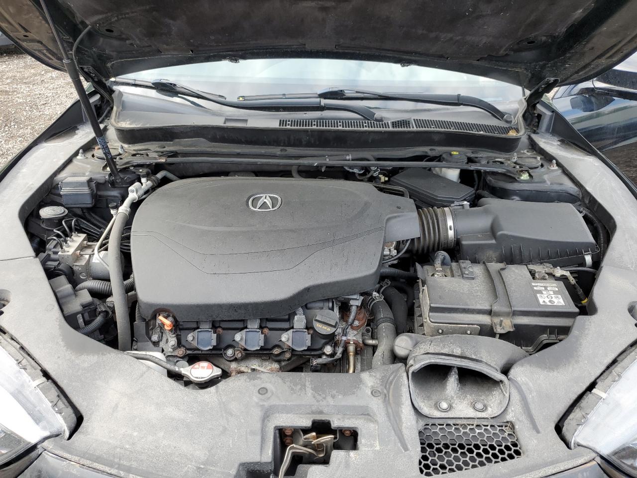 2018 Acura Tlx Elite VIN: 19UUB3F8XJA800098 Lot: 62302784