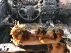 2012 Volkswagen Tiguan S იყიდება Ocala-ში, FL - Burn
