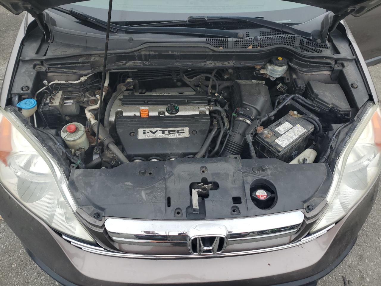 2009 Honda Cr-V Exl VIN: 5J6RE48739L036093 Lot: 62949144