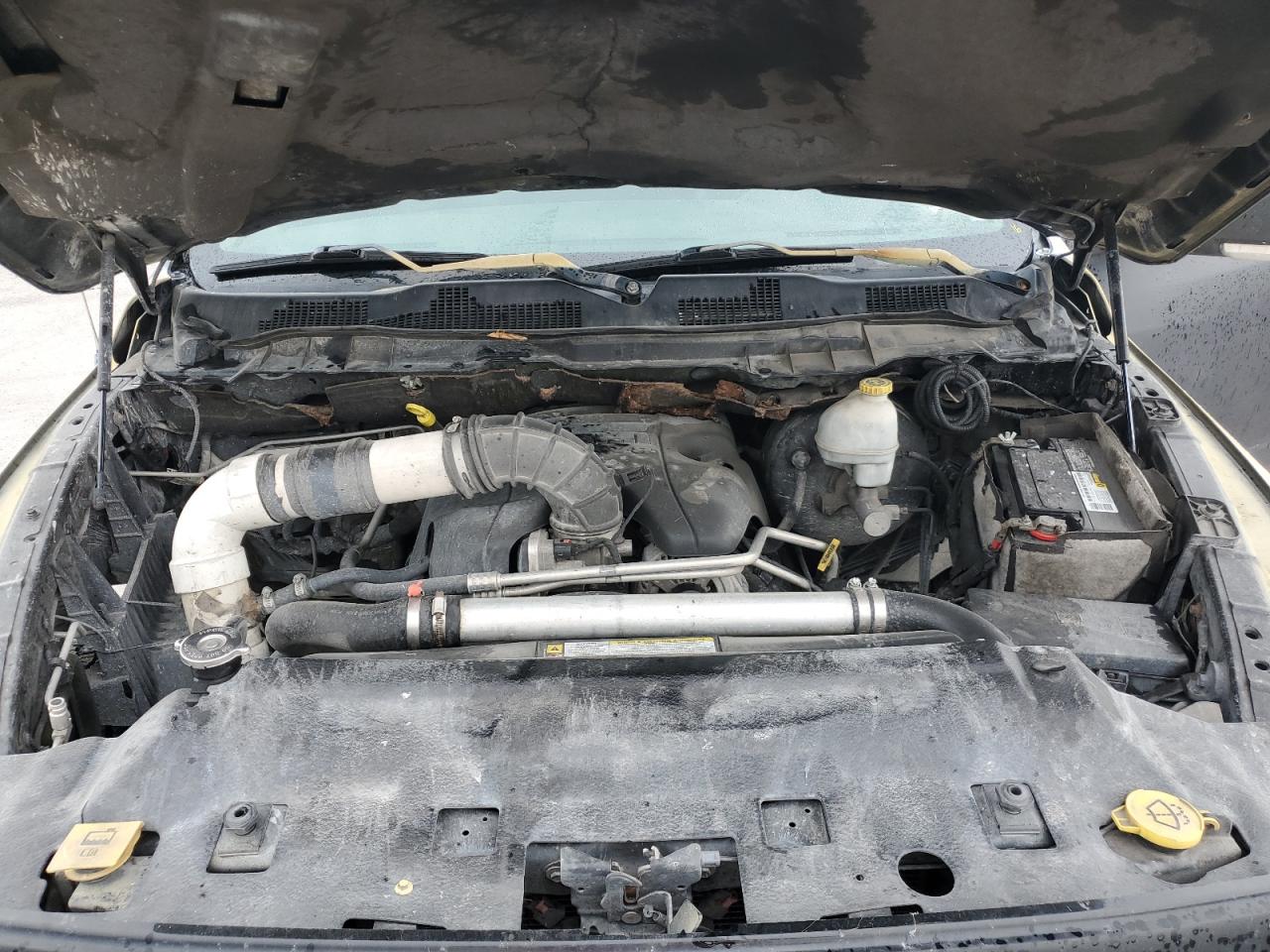 2010 Dodge Ram 1500 VIN: 1D7RB1CT4AS196498 Lot: 62516844