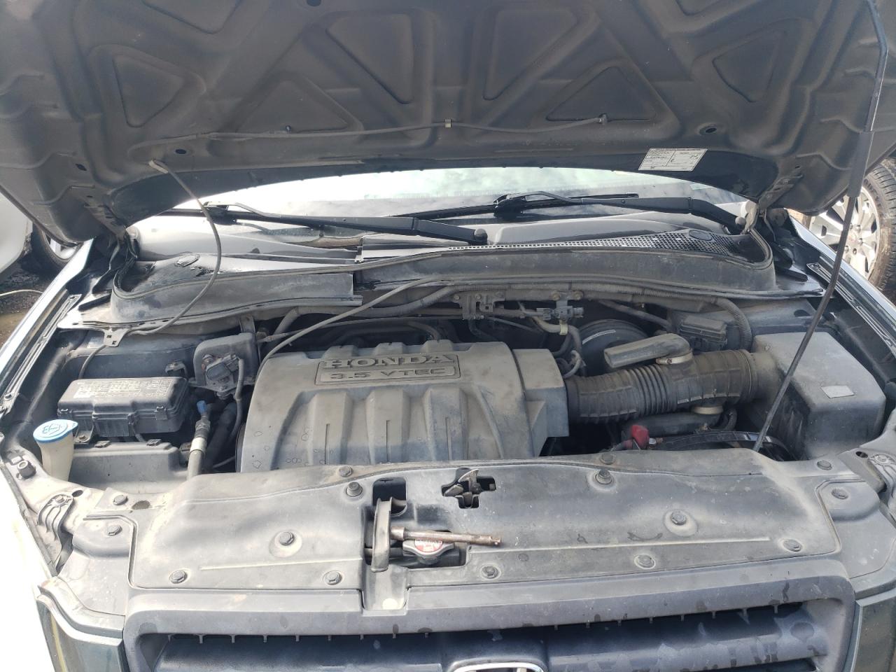 2005 Honda Pilot Exl VIN: 5FNYF18515B039714 Lot: 64405694