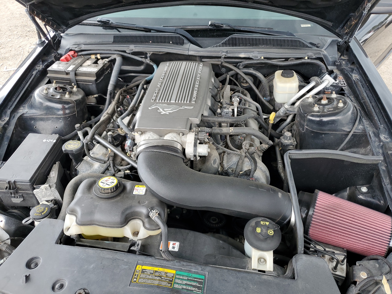 1ZVHT82H185186025 2008 Ford Mustang Gt