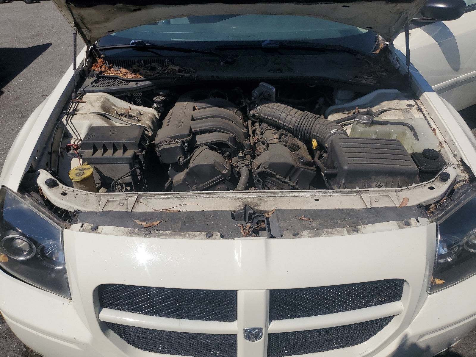 2D4FV48T55H693171 2005 Dodge Magnum Se