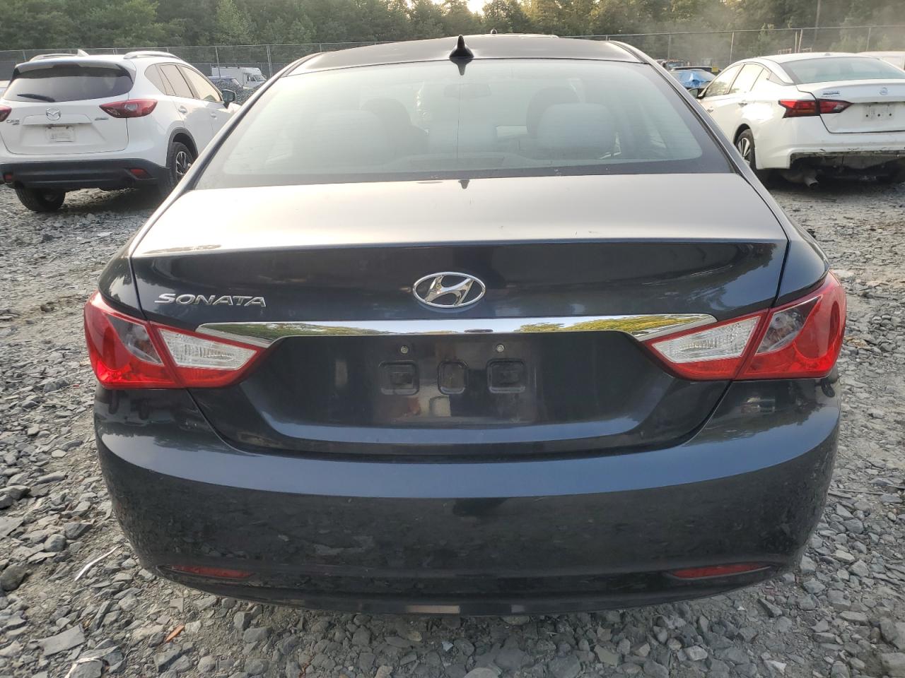 5NPEB4AC6DH558895 2013 Hyundai Sonata Gls